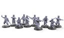 Brothers of Yevrostoya troop
