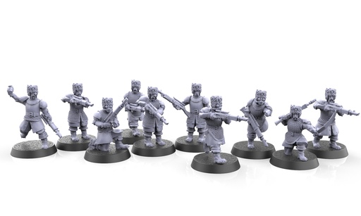 Brothers of Yevrostoya troop